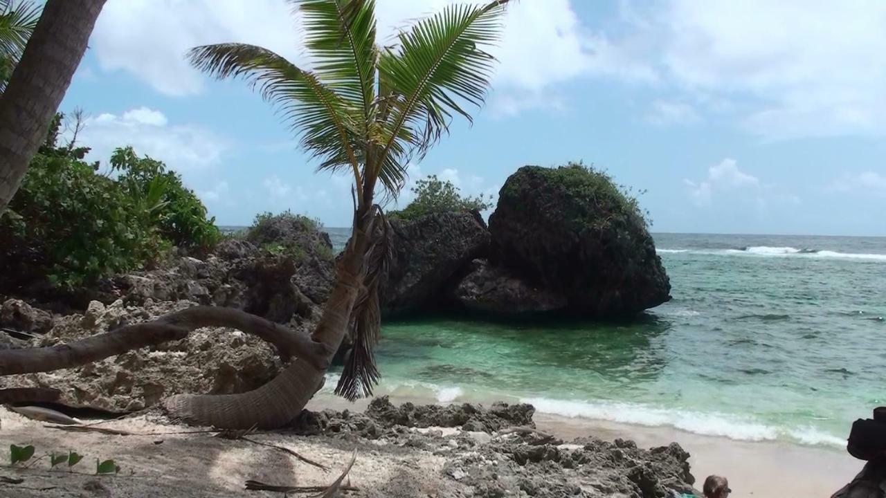 Bungalow 3116 Vue Sur Piscine Las Galeras Bagian luar foto